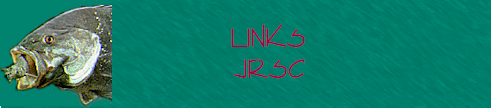 JRSClinks.png (73081 bytes)